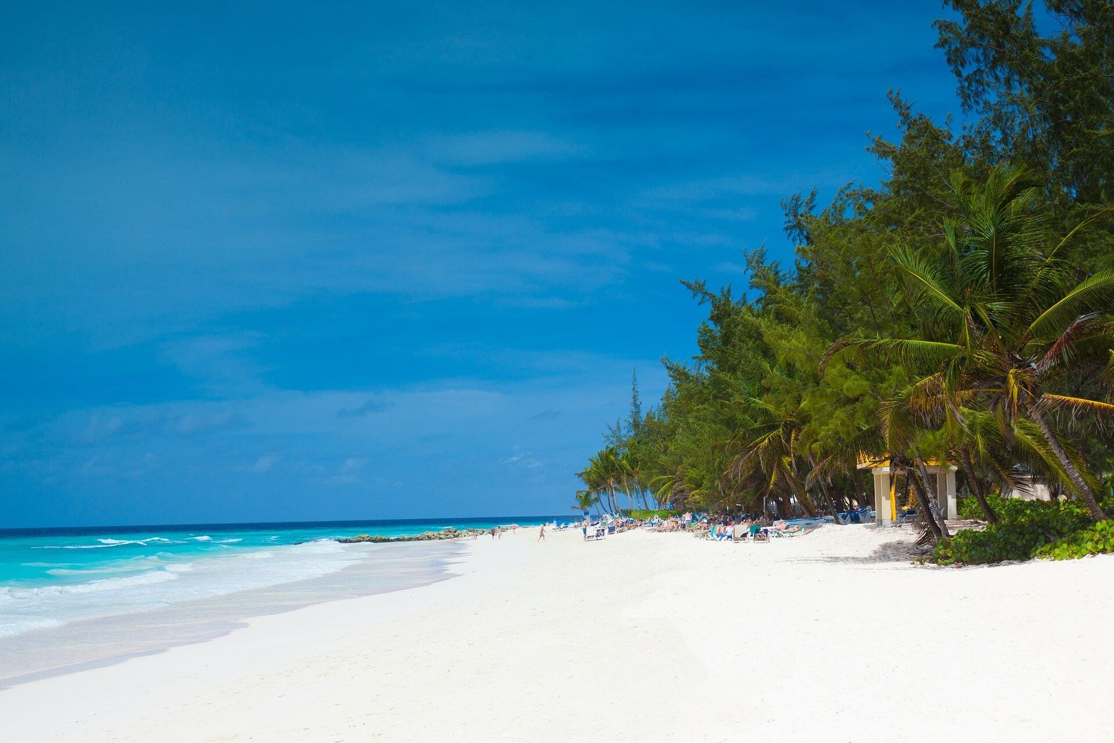 在Barbados\n租车