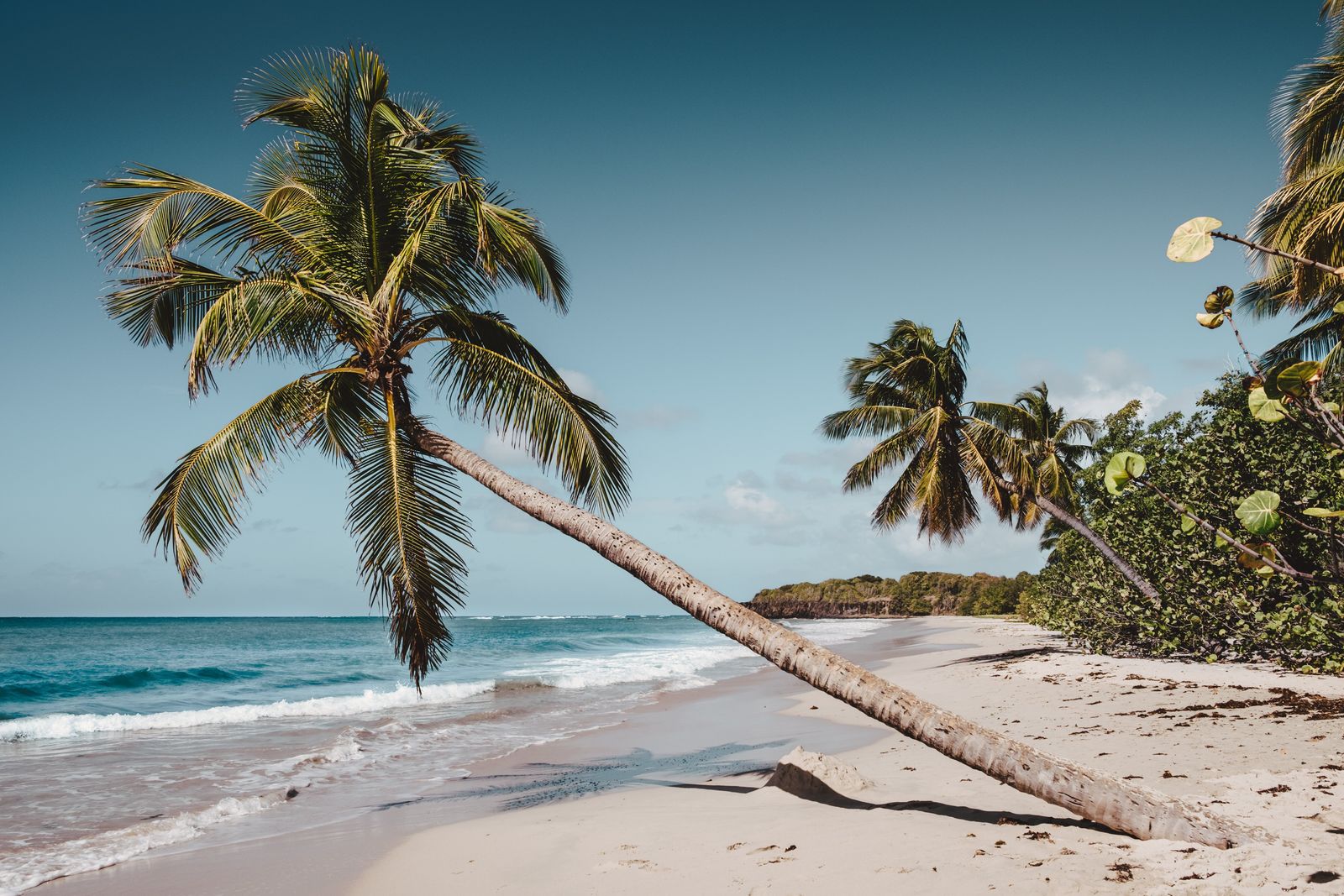 在Martinique\n租车