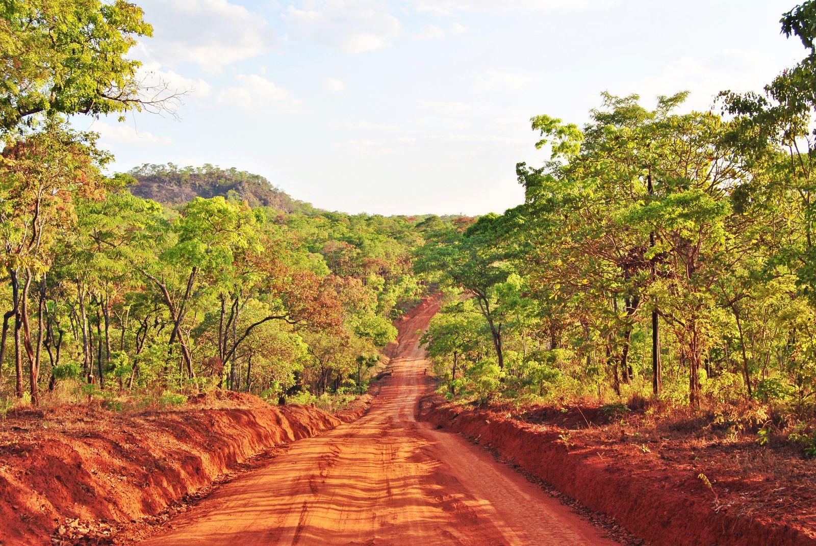 在Mozambique\n租车